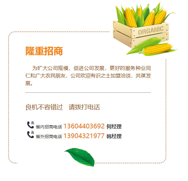 新聞資訊